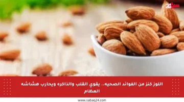 اللوز كنز من الفوائد الصحية.. يقوي القلب والذاكرة ويحارب هشاشة العظام
